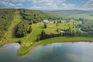 Golf - *Millstone Cottage w/Lake & Pool access, Wi-Fi (Preston County)