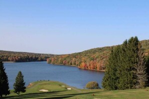Golf - *Millstone Cottage w/Lake & Pool access, Wi-Fi (Preston County)
