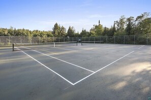 Sports court - Charming 3-bedroom townhome with AC, WiFi just outside serene Two Harbors (Two Harbors)