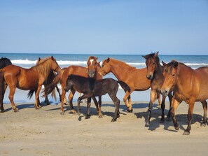 Perto da praia