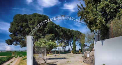 Masia el Carlos cinema/AC/game room/football field