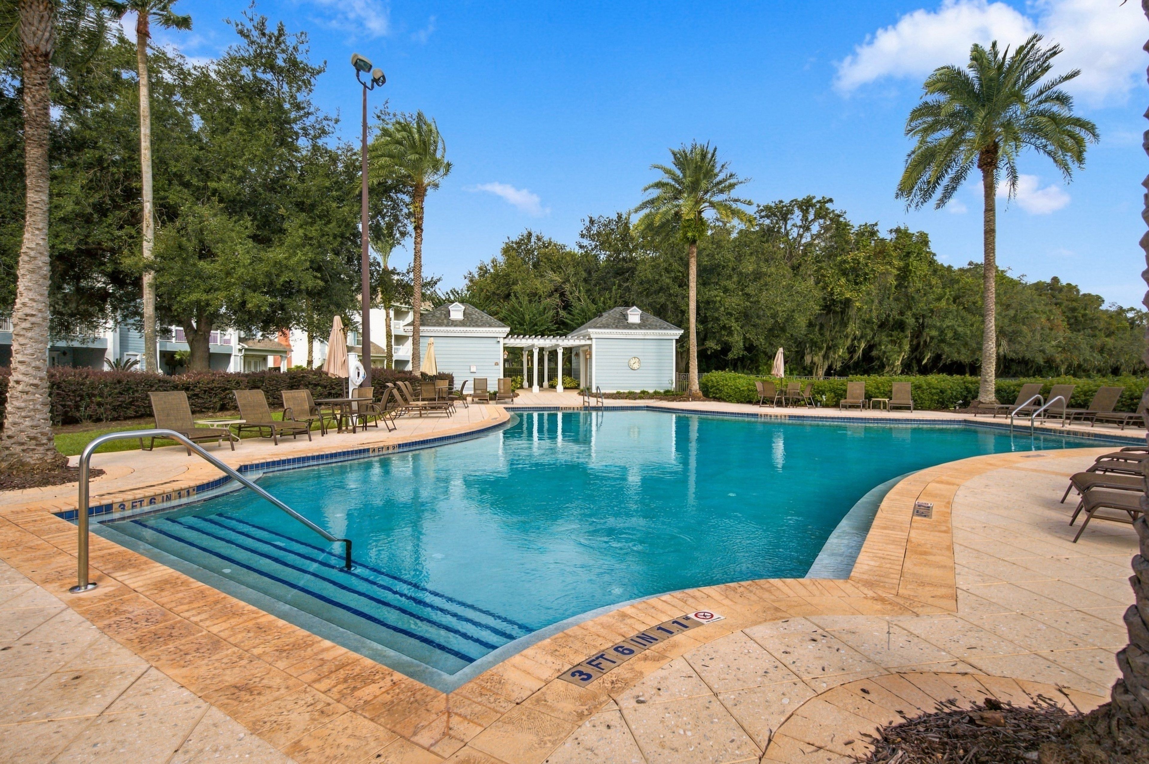 A swimming pool with a tiled deck, lounge chairs, and palm trees.