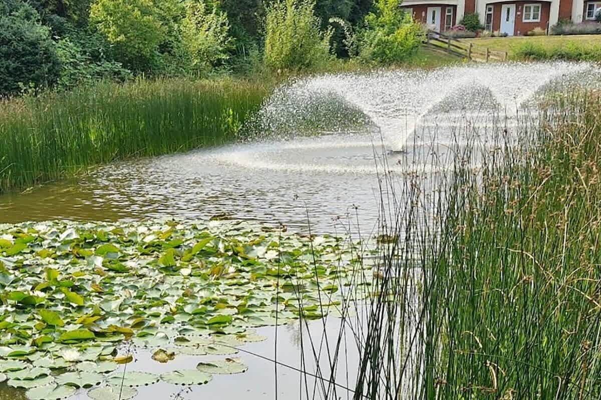 A pond with lily pads and a fountain.