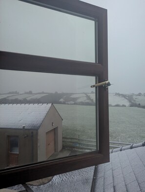 Property grounds - Cozy and Social Getaway for Couples, Solo Travelers, and Remote Workers (Quigleys point)