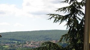 A view from a window overlooking a rural landscape with a large tree in the foreground. - La Rose des Vents - JALOGNY (JALOGNY)