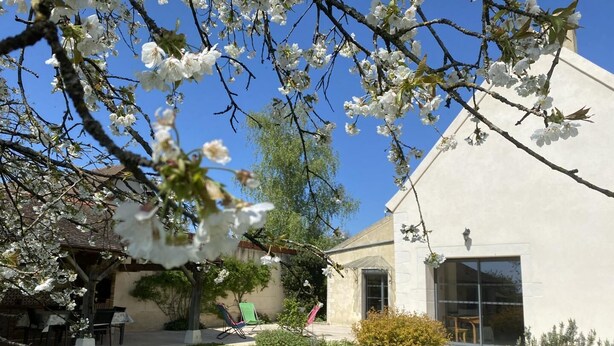 Un bâtiment à l’extérieur blanc, doté d’une porte en verre et d’un petit jardin avec de la pelouse et des fleurs blanches.