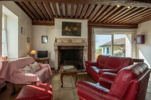 Télévision, cheminée, table de tennis de table