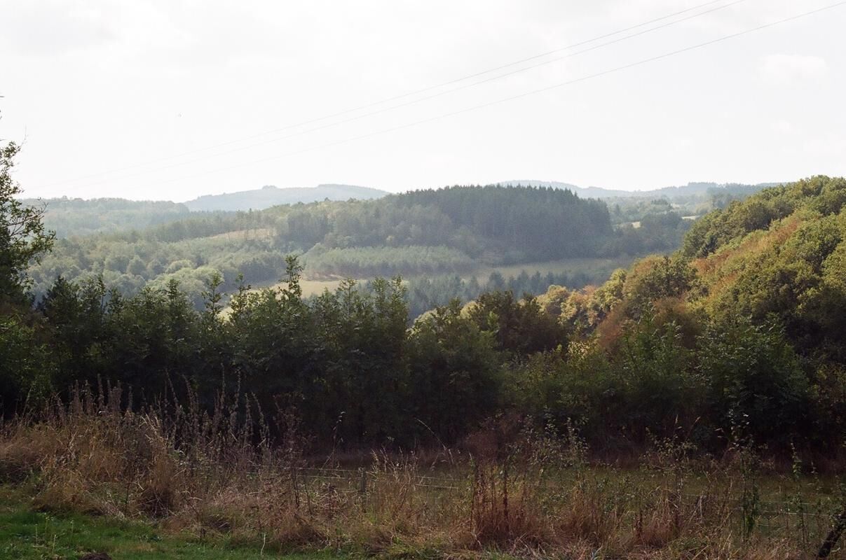 Ländliche Landschaft mit sanften Hügeln, dichten Wäldern und blauem Himmel.