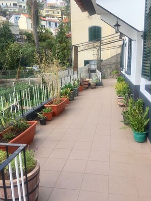 Property grounds - Rochinha Studio Apartment (Funchal)