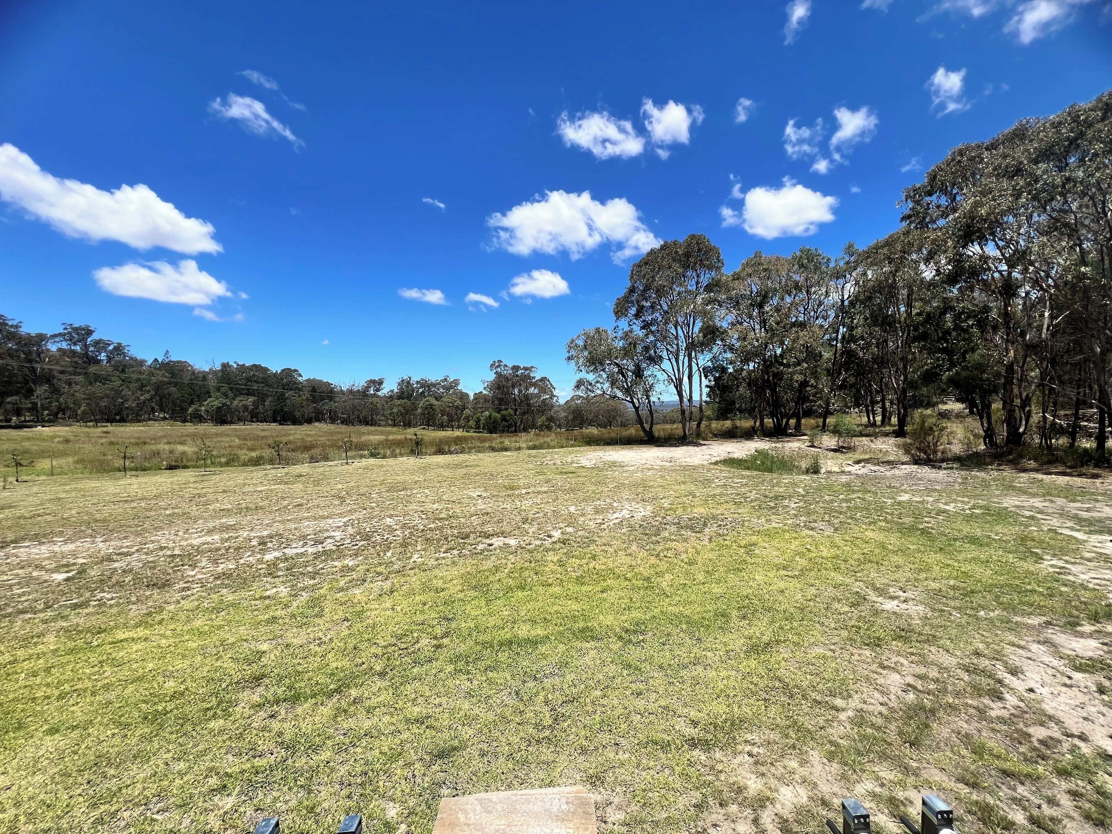 Un campo erboso con alberi e un cielo blu limpido.