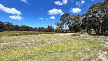 Un campo erboso con alberi e un cielo blu limpido.