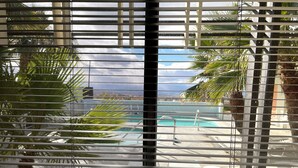 Une vue à travers les stores d’une fenêtre, donnant sur une piscine bordée de palmiers et un ciel dégagé.