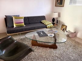 42-英寸纯平电视（配备数码频道）、Netflix、流媒体服务