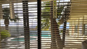 Une vue à travers les stores d’une fenêtre, avec une piscine et des palmiers en arrière-plan.