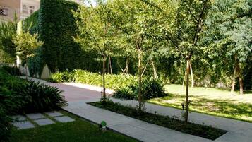 A landscaped garden with a paved walkway, various shrubs, and trees.