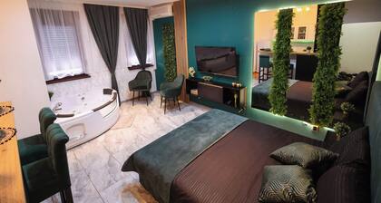 SpaNISH apartman 2.
-with jacuzzi in the epicenter of NiĆĄ