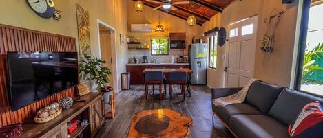 Smart TV, books, stereo