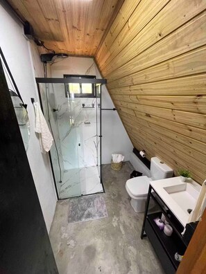 Hair dryer, towels, soap, toilet paper