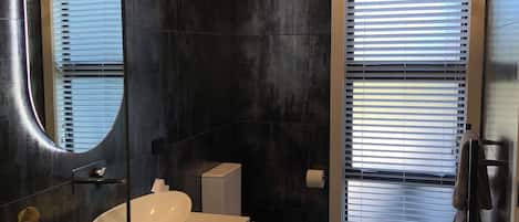 Ducha, secador de pelo, toallas, jabón