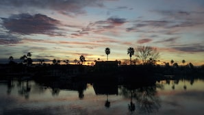 A sunset over a calm body of water with silhouettes of palm trees and buildings.