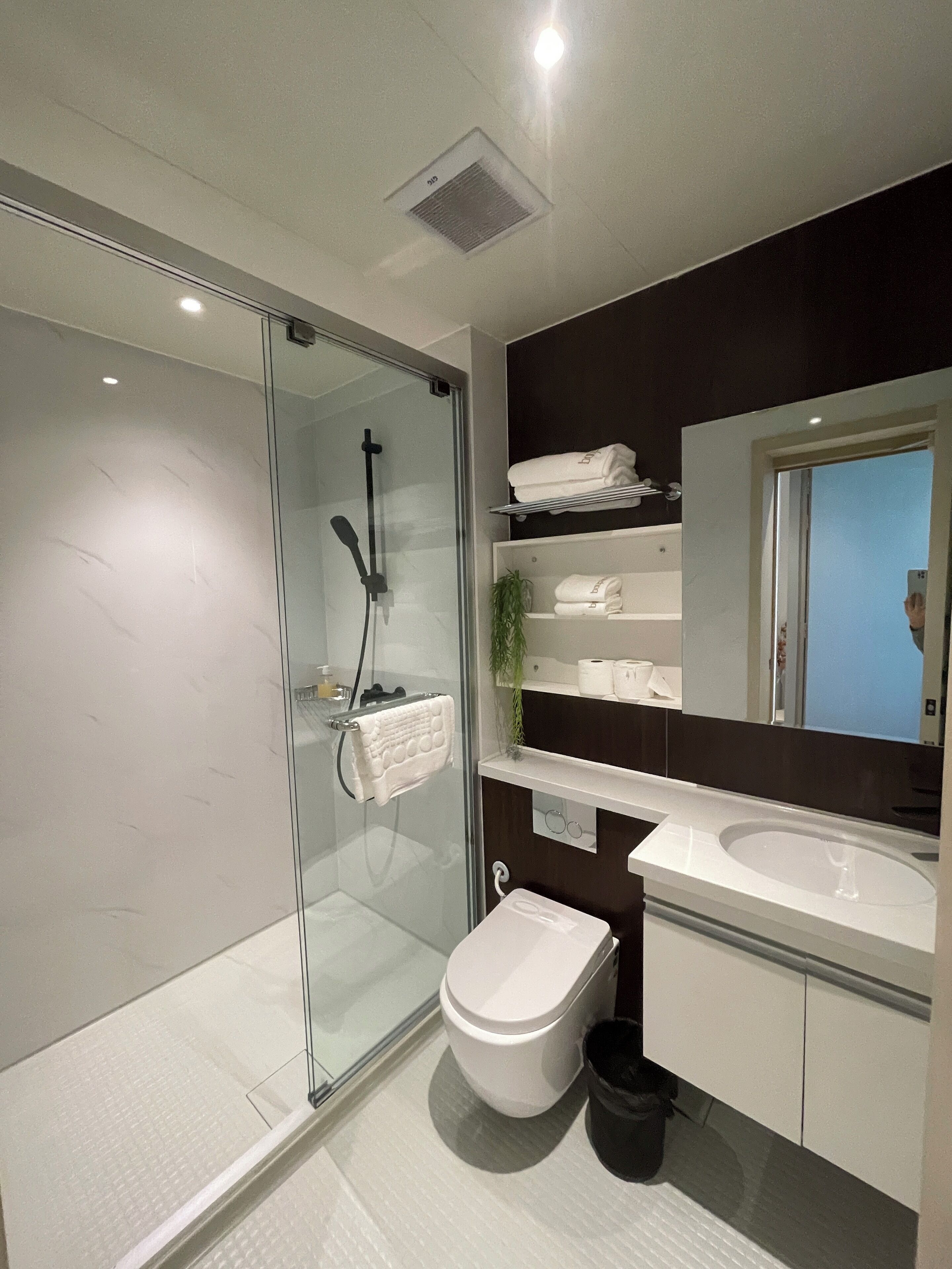 A modern bathroom with a glass-enclosed shower, a white toilet, a sink, and a mirror with a towel rack above it.