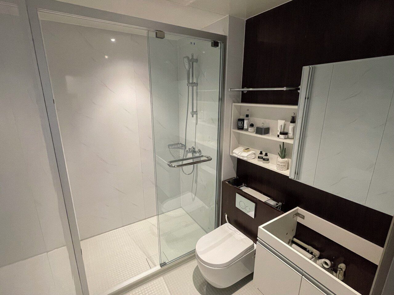 A modern bathroom with a glass-enclosed shower, a toilet, and a vanity with shelves.