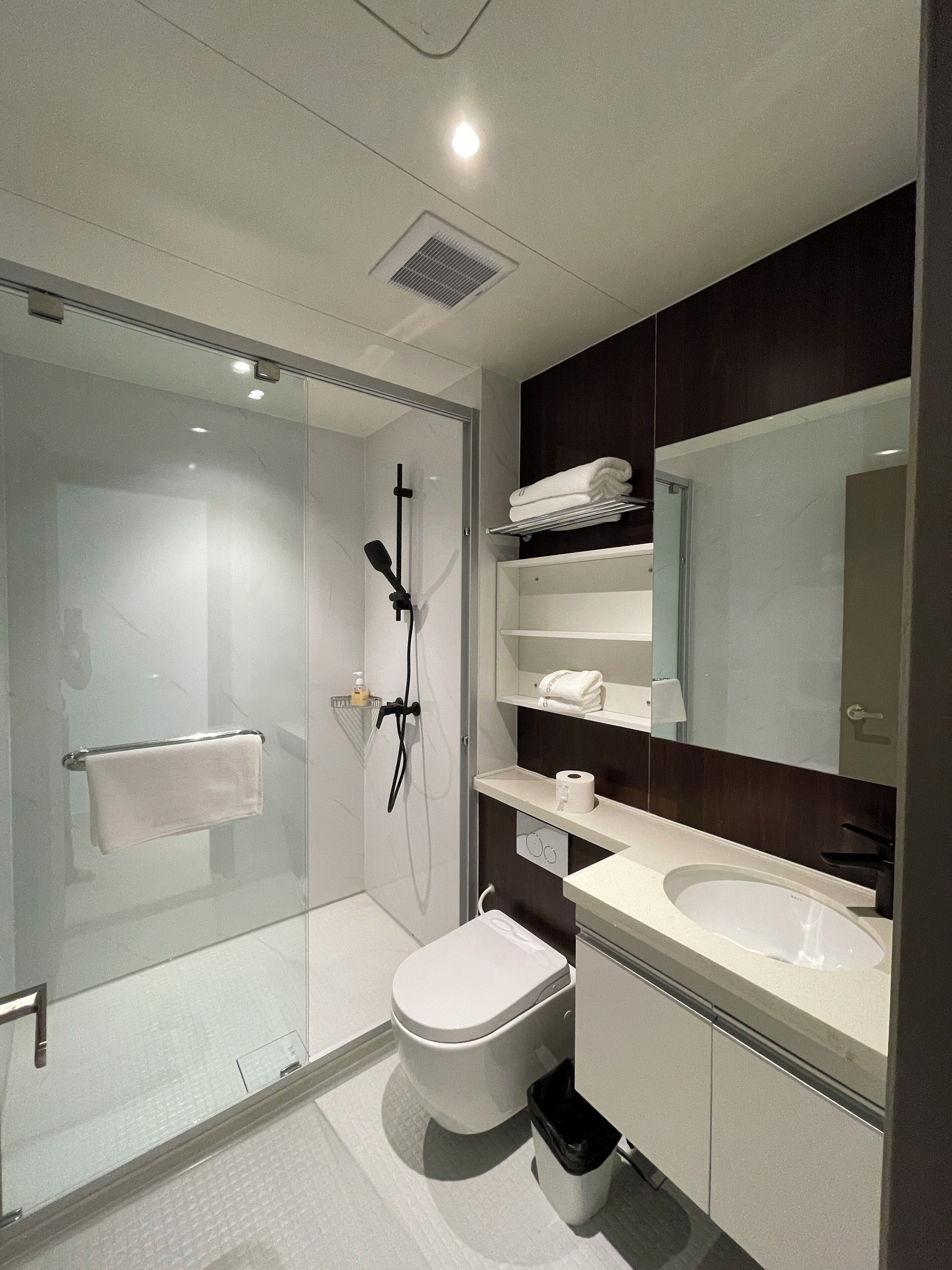 Un bany modern amb dutxa d'ús de vidre, vàter blanc, un lavabo i un mirall sobre el lavabo.