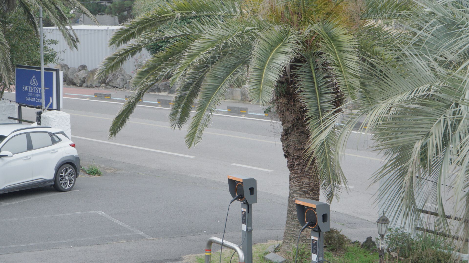 Un estacionamiento con un automóvil blanco, una palmera y estaciones de carga para vehículos eléctricos.