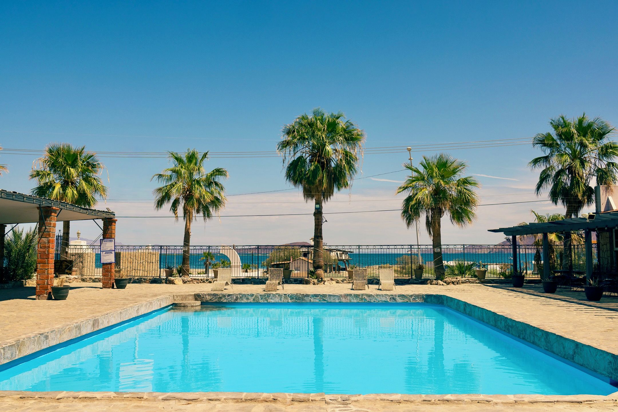 Una piscina con palmeras y sillas de playa.