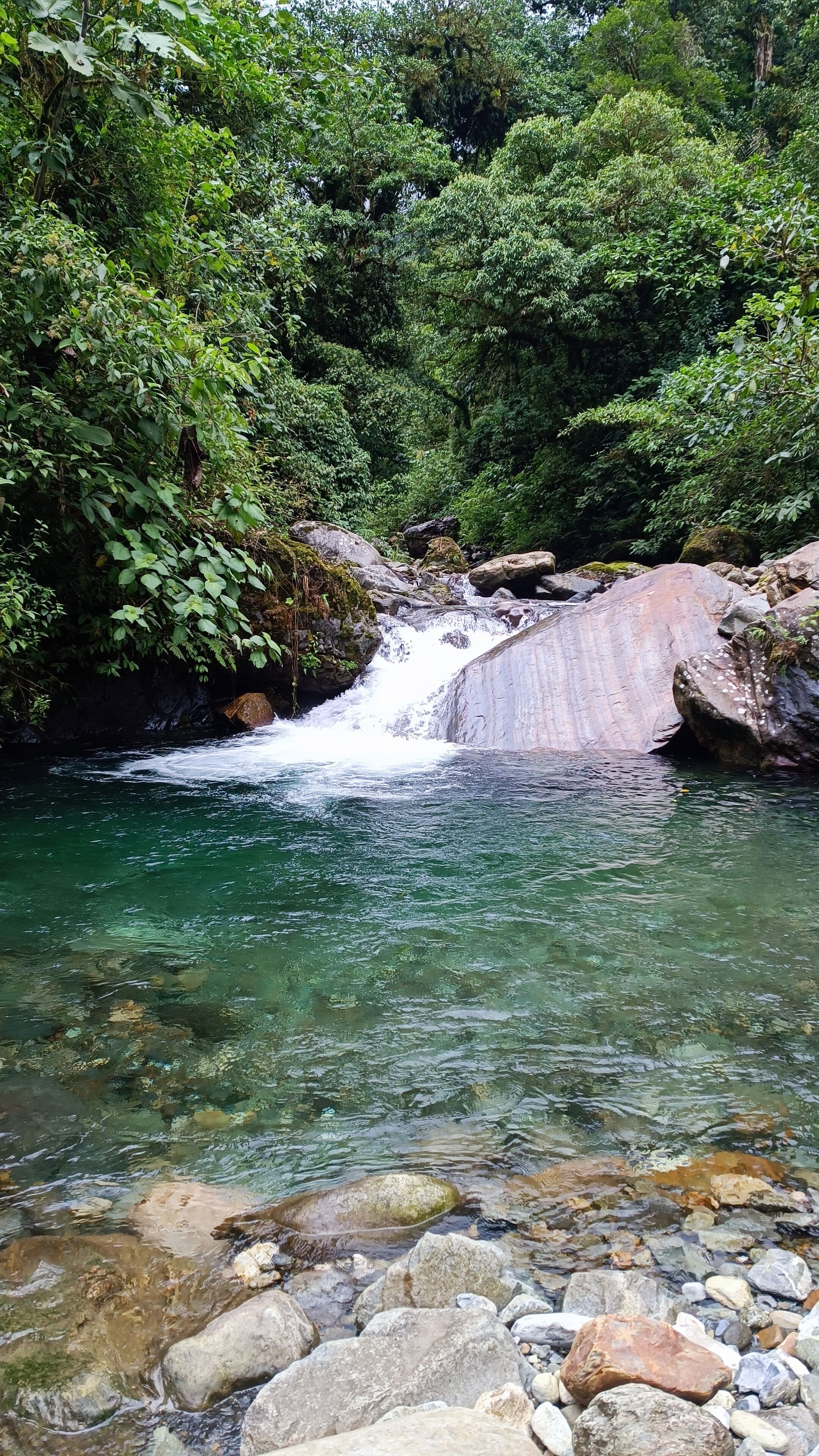 Ein natürlicher Wasserfall in bewaldeter Landschaft mit klarem Wasser und umgebenden Felsen.