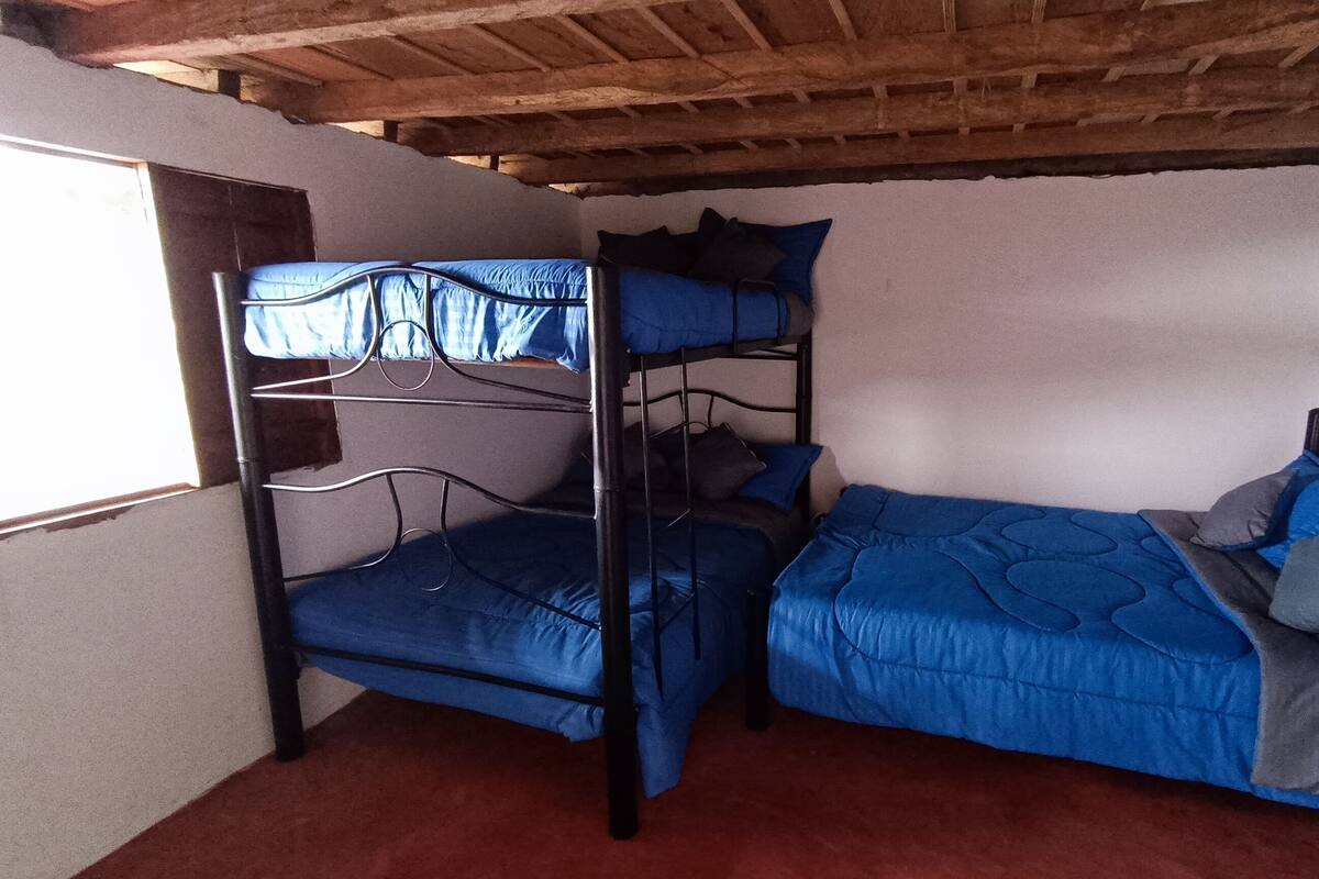 A dormitory room with bunk beds, a window, and a wooden ceiling.
