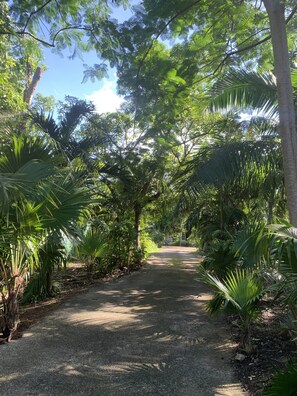 Áreas de la propiedad