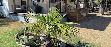 A house with a covered porch, a hammock, and a garden with cacti and agave plants.