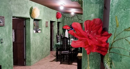 Wonderland Hostel