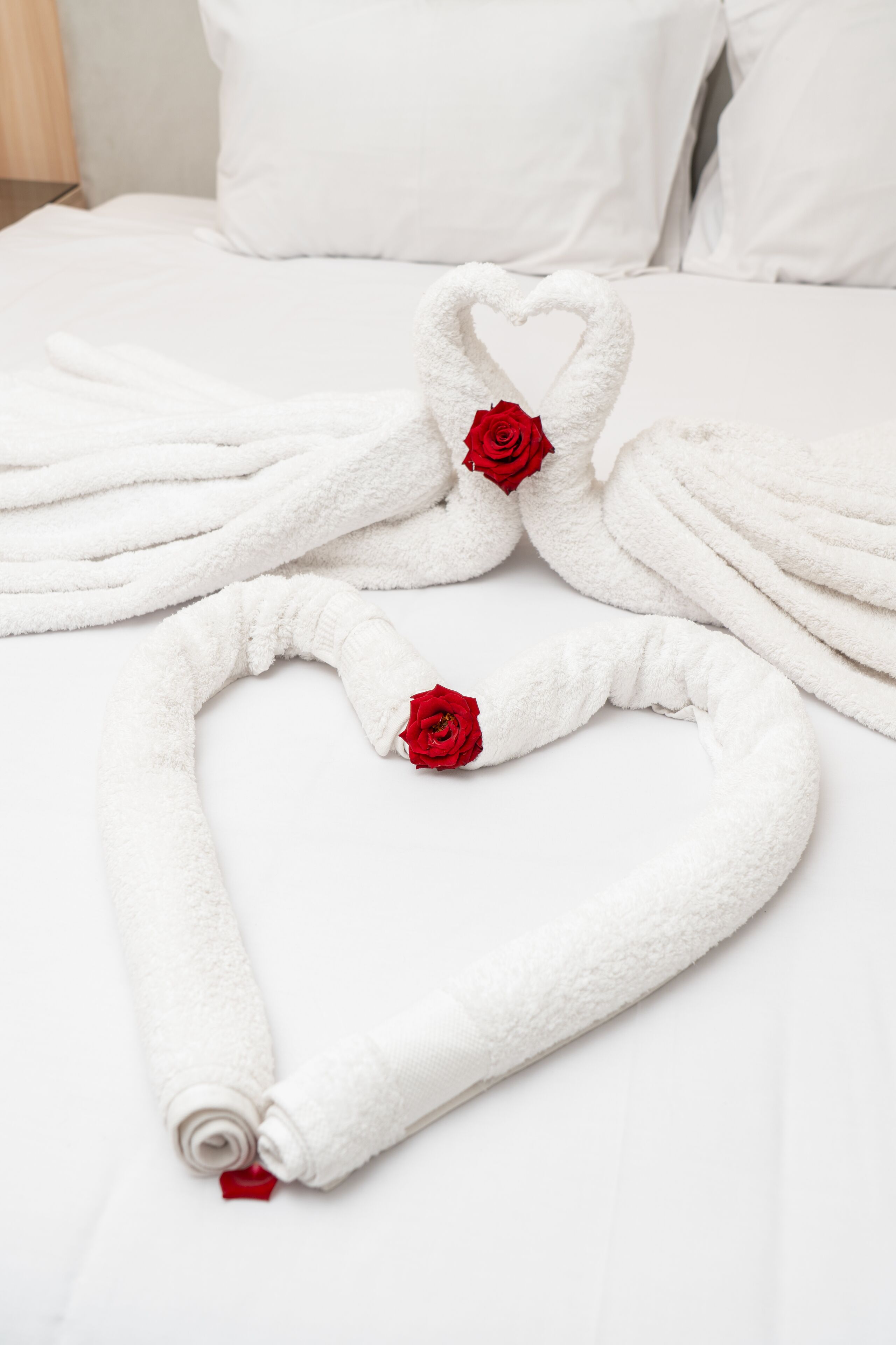 Foto - Tiye Pyramids Hotel