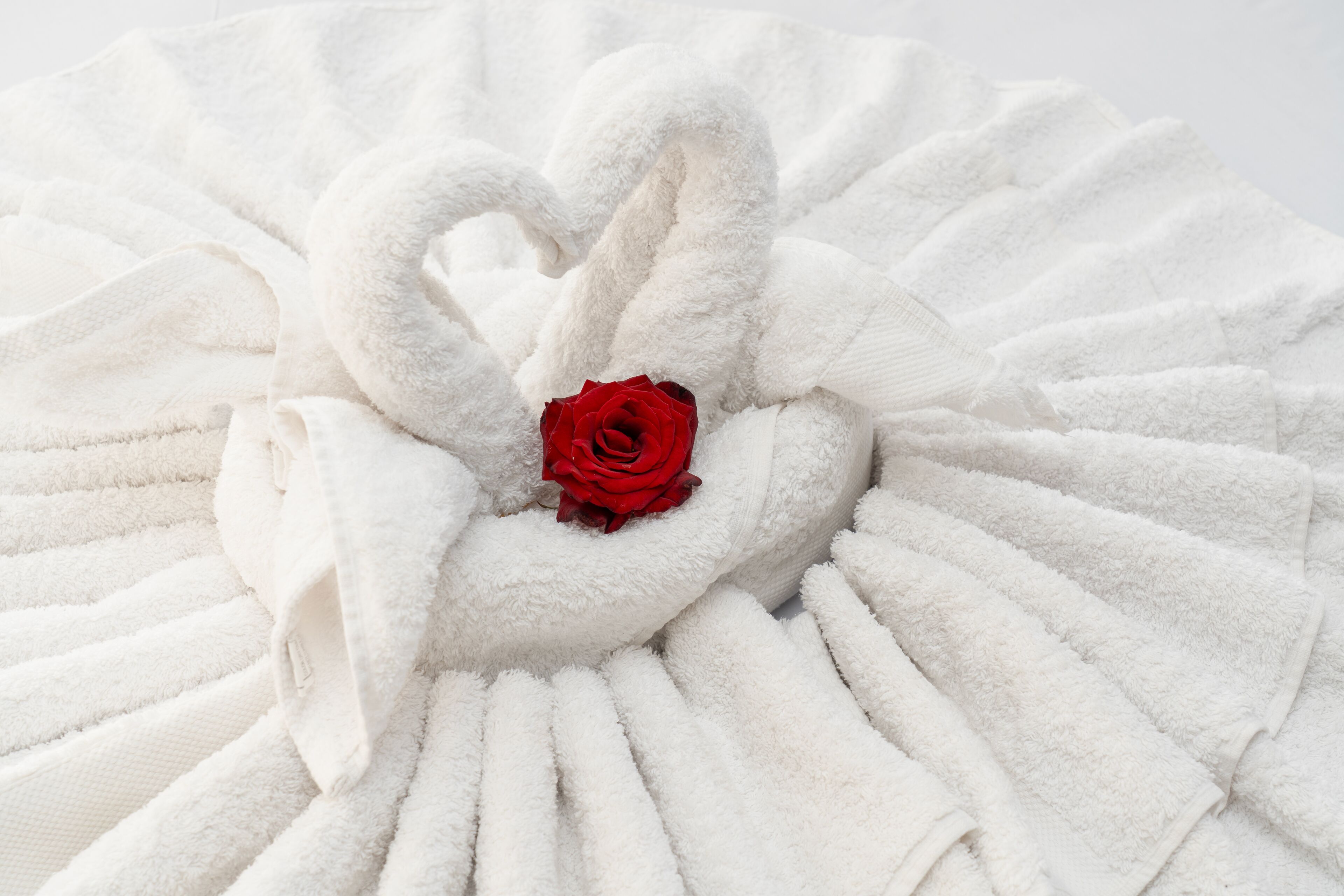 Foto - Tiye Pyramids Hotel