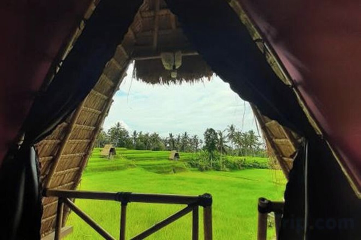Glamping
