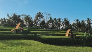 Un paisaje rural con campos de arroz en terrazas y casas tradicionales con techos de paja.