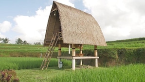 Una construcción con techo de paja y una escalera, ubicada en un campo verde y exuberante.