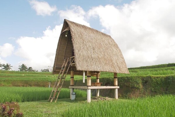 A thatched-roof structure with a ladder, situated in a lush green field. - Swaha Retreat & Eco Park Ubud (Sebatu)