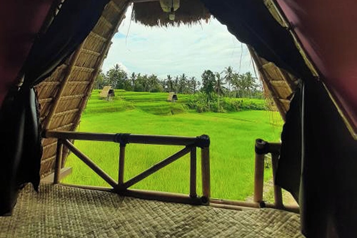 A thatched-roof structure with a view of a green field and trees.