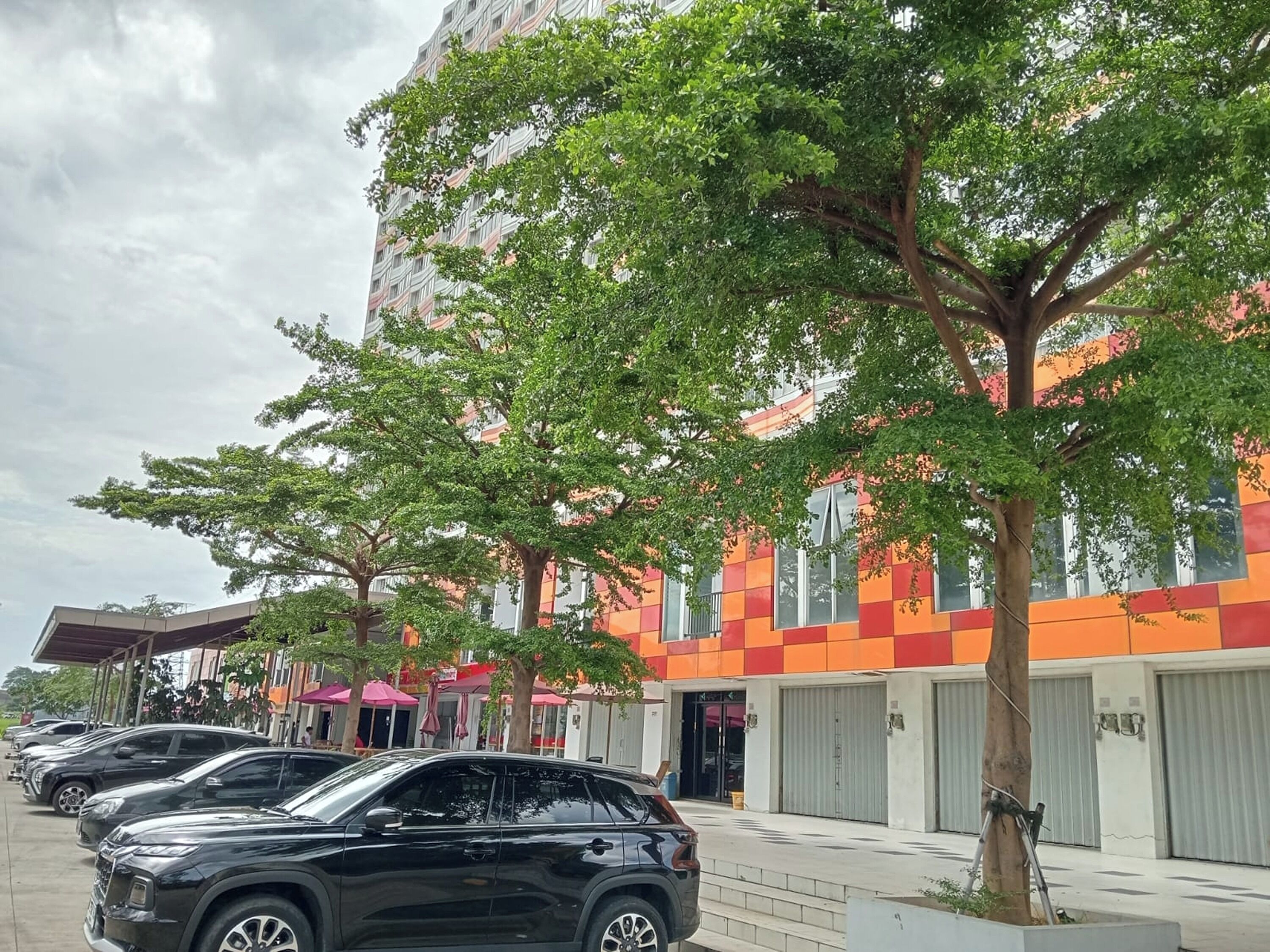 A row of parked cars, a tree, and a building with a colorful facade.