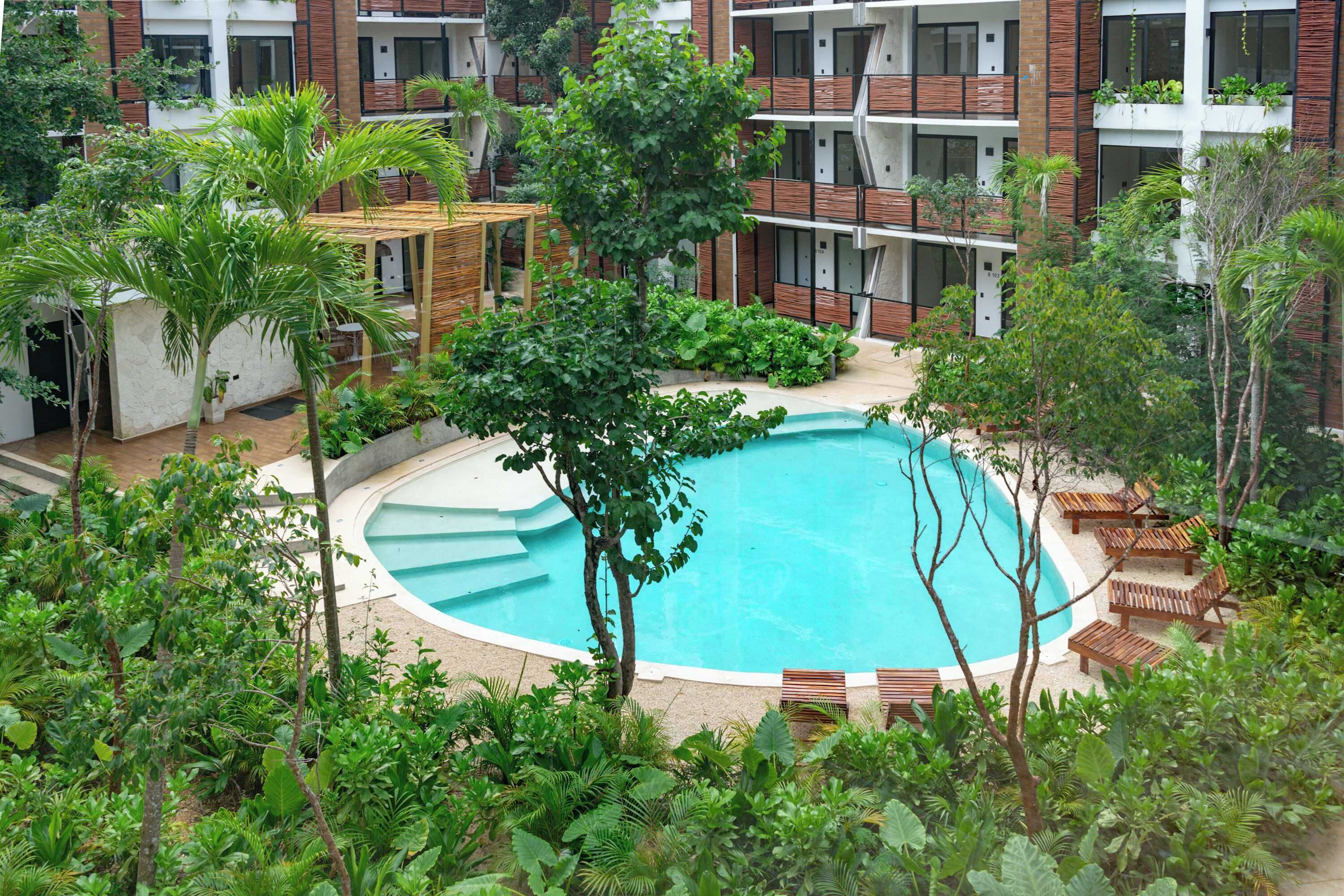A pool surrounded by lush greenery and wooden seating areas, with a multi-story building in the background.