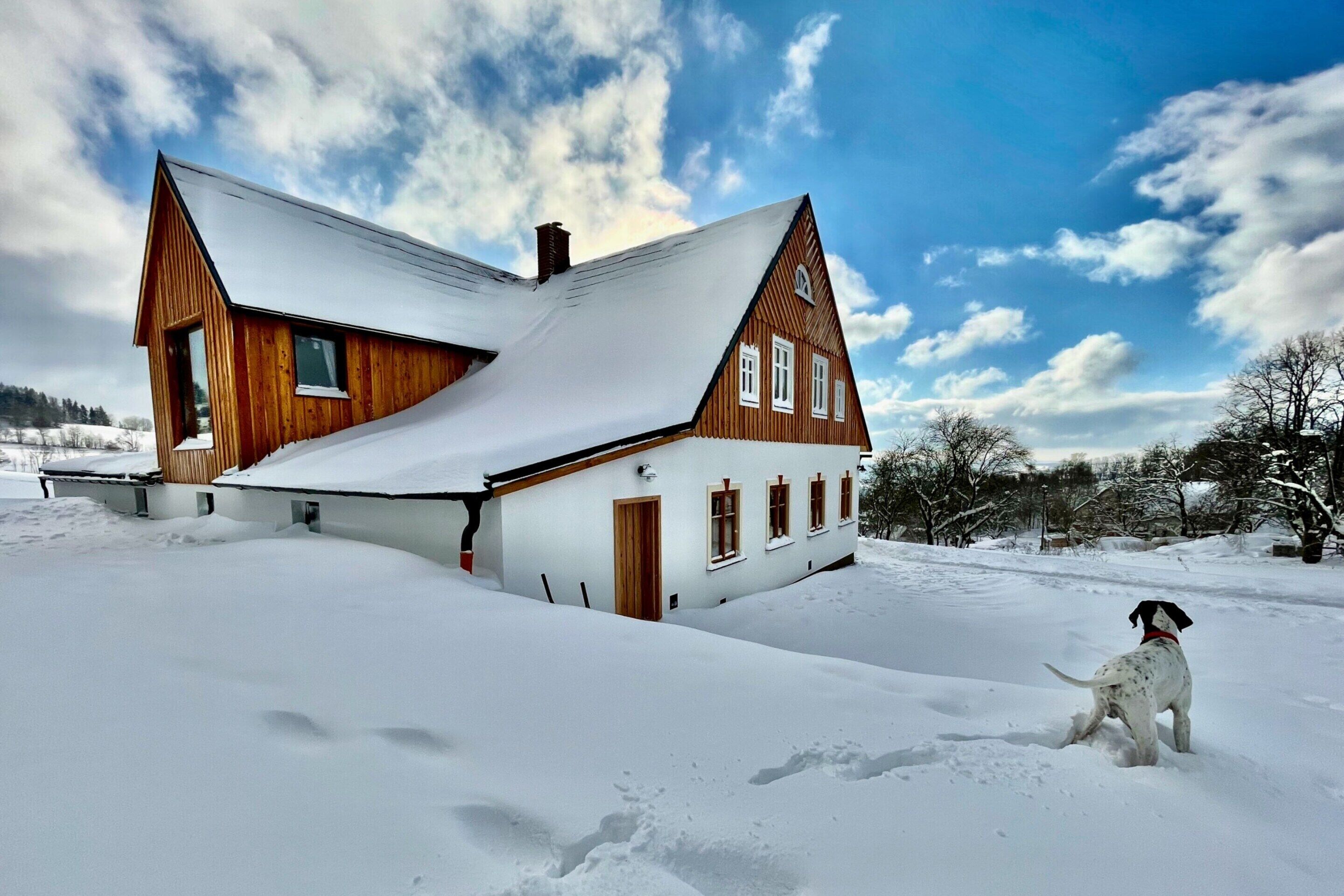 Eksteriør