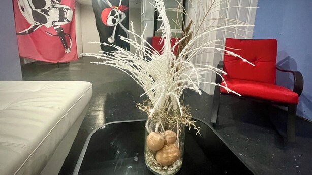 A room with a black table, a vase with dried plants, a red chair, and a wall with a skull and crossbones flag. - Ranch House in peaceful Little Hocking close to the Ohio River. Heat/AC, WiFi (Little Hocking)