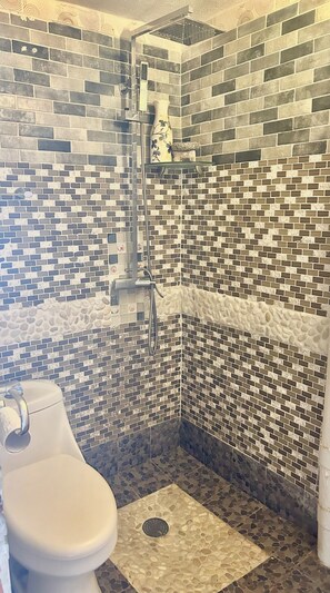 Hair dryer, soap, toilet paper