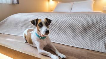 Ein Hund liegt auf einem Holzboden in einem Zimmer mit einem Bett und einer Strukturdecke.
