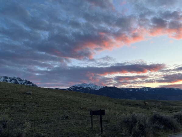 A grassy field with a wooden signpost, mountains in the background, and a cloudy sky.