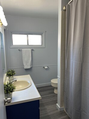 Haartrockner, Handtücher, Seife, Toilettenpapier