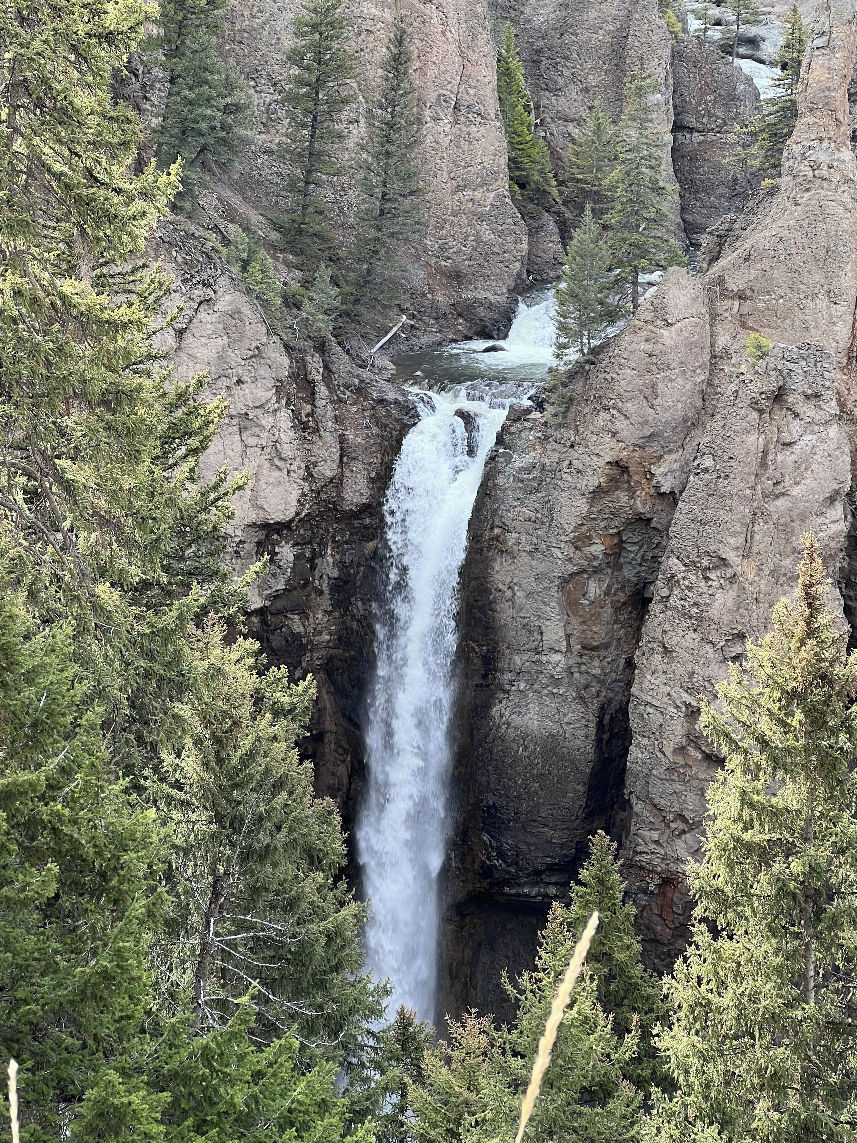 A waterfall cascading down a rocky cliff surrounded by dense green trees.